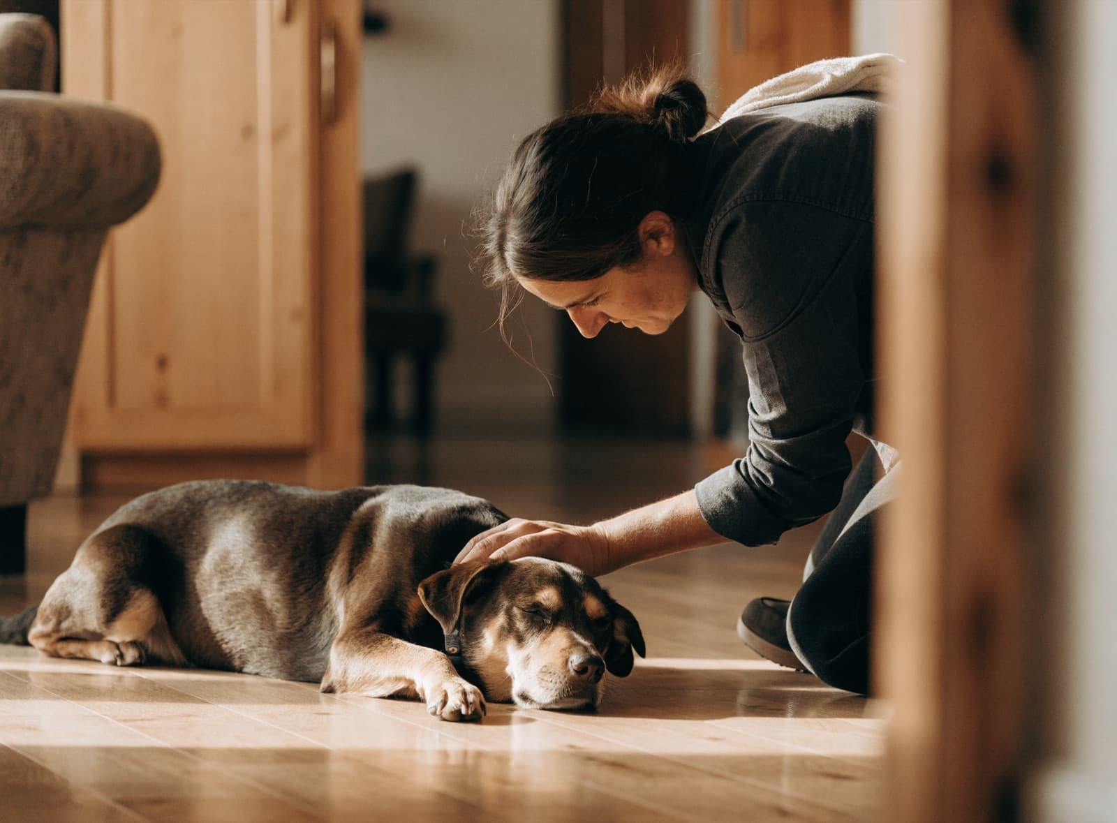 Una toelettatrice accarezza un cane tranquillo e rilassato a fine servizio, in casa