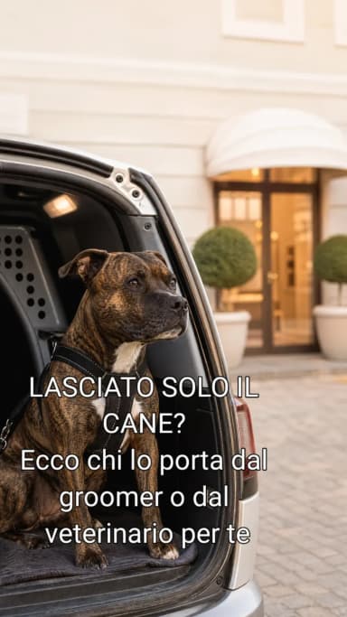 Lavoro del toelettatore
