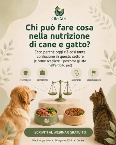 Lavoro del toelettatore